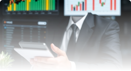 Global capital flow and asset allocation